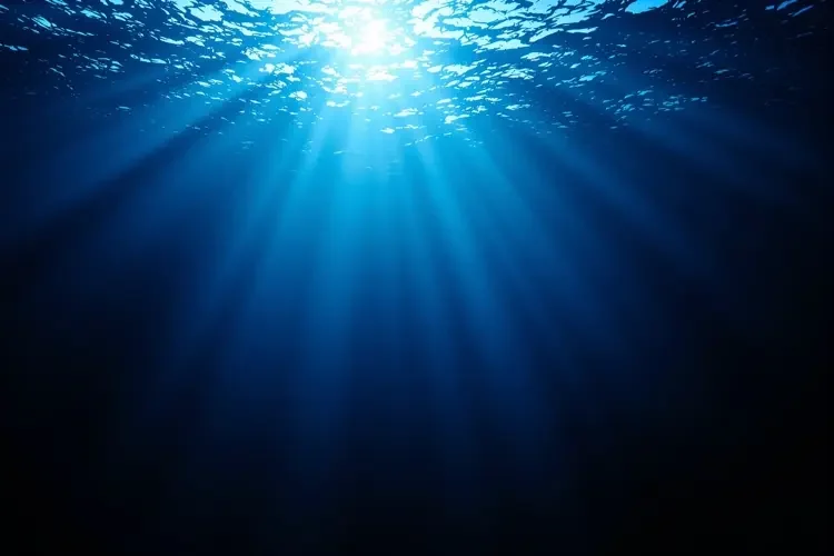 深海秘境 专题封面